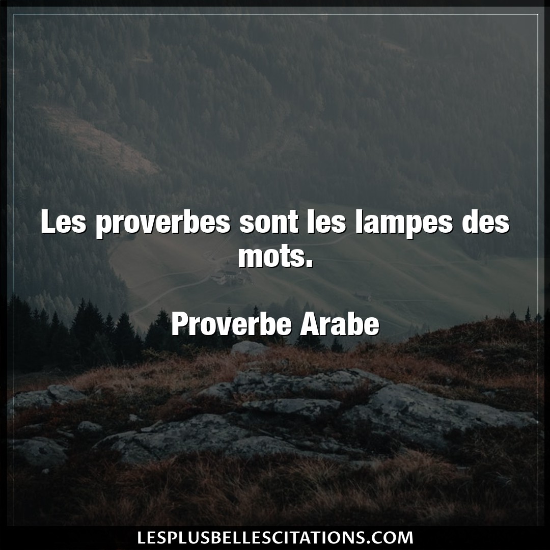 Les proverbes sont les lampes des mots.

Pr
